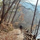 공주산림휴양마을 이미지