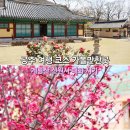 신원사 | 공주 여행 코스 가볼만한곳 계룡산 신원사 봄 매화꽃 시기