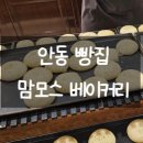 맘모스 이미지