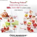 티식스 이미지