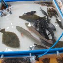 신이수산 이미지