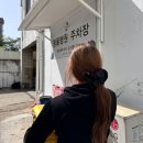 박물관옆동물병원 | [대구 박물관옆동물병원] 울 뚜비 중성화 수술하고 왔어요😼