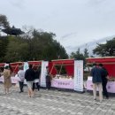 별빛촌 이미지