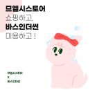 꿈의 애견미용 이미지