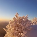 12월25일 전라남도 지리산 천왕봉(1,915M) 화이트 크리스마스 일출산행﻿ 2부 이미지