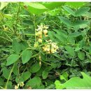 (유)산야 이미지