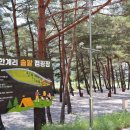 솔향 - 강북구 삼양로155길 10 | 솔향