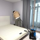 3967 | 고성/속초 매트리스 청소 우리집 홈케어 비치움 출장방문 케어 후기