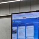 둔내초등학교 | [초등교사 성장 일지👩‍🏫] AI 활용 수업에 대한 나의 생각(feat. 강원아이로 연수)