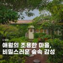 초록달 | 제주 감성 카페 추천 애월 초록달 방문 후기