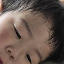 김태연농장 이미지