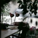 벤자민&데이지 이미지