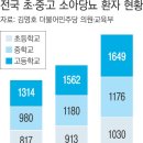 소아당뇨 염려에…‘왕가탕후루’ 대표 국감 간다 이미지