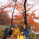 11월 18일 월요일 산사랑회 출석부 - 서울대공원 산림욕장을 다녀와서(후기 글) 이미지