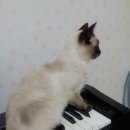 놀아줘 이미지