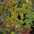 카박사 | 부산 가을 가볼만한곳)금강공원 케이블카 / 동래수안인정시장 국수박사 칼국수,김밥