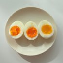 알찬유정란농장 | 둔촌동 맛집 계란 프레시파머 | 1번란 10구 15구 직접 먹어본 후기