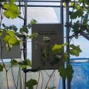 하우스농장 이미지