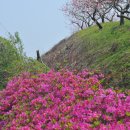 남산반곡지 이미지