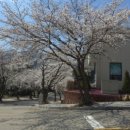 더그레이하우스(The gray House) 이미지