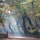 함양조망공원(상) 이미지