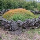 제주돌담 이미지