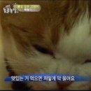 스페인아오라 이미지