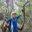 봉양마을회관 | ♣ 특별(버킷 리스트)산행:전남 여수시 일원 "돌산 半 종주/돌산 공원~봉양 고개" (2025.10.19:일)