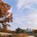 오묘(OMYO)