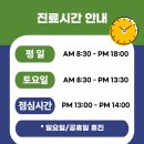 화순고인돌정형외과의원 네이버블로그