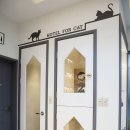 예담동물병원 이미지