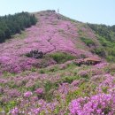 인천해찬솔산악회 남원 봉화산 5월14일 정기산행 알립니다 이미지