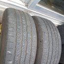 스포츠올 이미지