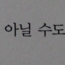 꿈꾸는황소 이미지