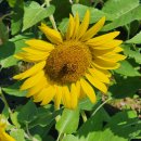 하루하루,...2025.09.01 ~ 09.30. 이미지