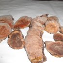 산 뽕나무 상황버섯 (담금주용) 이미지