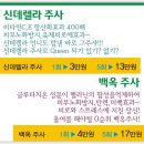 신데렐라 주사 , 백옥 주사 이미지