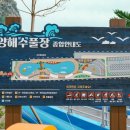남양몽돌