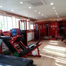 트라이얼 PT 이미지