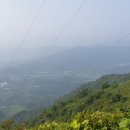교촌천 Daum카페
