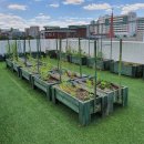 권선1동행정복지센터 이미지