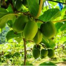 다래울한의원 이미지