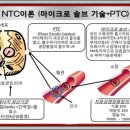 독일피엠 이미지