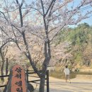 삼척엘림캠핑장 이미지