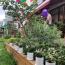 사기막골(1) 이미지