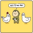 (주)케어시스 네이버블로그