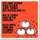 오분명상,인생의 목적.관 상.AI가 거짓말을 한다~.포토,거미줄이 특별한~.쑥갓~.