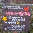 참샘길 네이버블로그