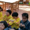 꿀꿀이야기 이미지