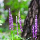 자비손한의원 이미지